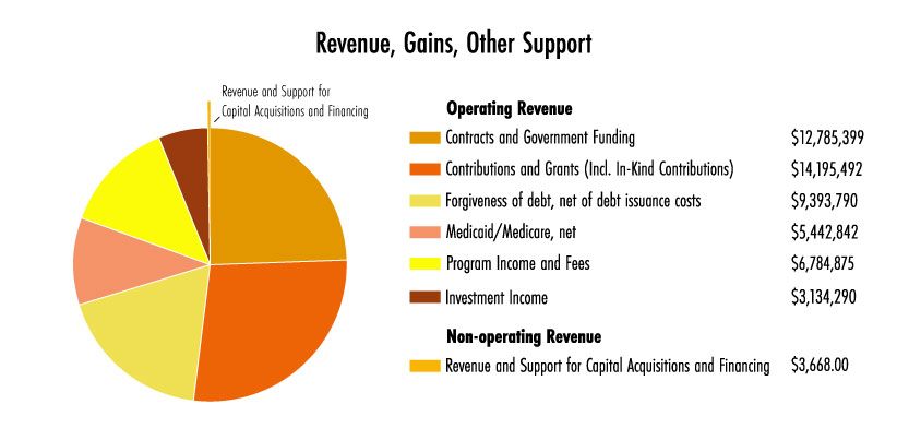 FY20 Revenue Graph