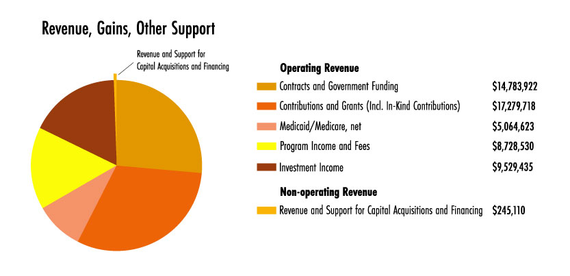 FY21 Revenue Graph